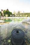 Un bassin baignade dans les Vosges - PAGE PHOTO 2  39 