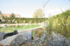 Un bassin baignade dans les Vosges - PAGE PHOTO 2  38 