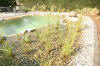 Un bassin baignade dans les Vosges - PAGE PHOTO 2  35 