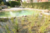 Un bassin baignade dans les Vosges - PAGE PHOTO 2  33 