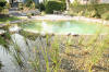 Un bassin baignade dans les Vosges - PAGE PHOTO 2  32 