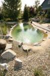 Un bassin baignade dans les Vosges - PAGE PHOTO 2  24 