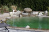 Un bassin baignade dans les Vosges - PAGE PHOTO 3  41 
