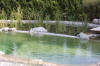 Un bassin baignade dans les Vosges - PAGE PHOTO 3  39 