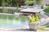 Un bassin baignade dans les Vosges - PAGE PHOTO 3  36 