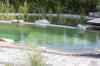 Un bassin baignade dans les Vosges - PAGE PHOTO 3  35 