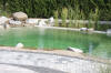 Un bassin baignade dans les Vosges - PAGE PHOTO 3  34 
