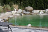 Un bassin baignade dans les Vosges - PAGE PHOTO 3  32 