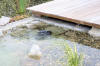 Un bassin baignade dans les Vosges - PAGE PHOTO 3  20 