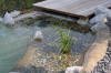 Un bassin baignade dans les Vosges - PAGE PHOTO 3  19 