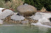 Un bassin baignade dans les Vosges - PAGE PHOTO 3  17 