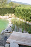 Un bassin baignade dans les Vosges - PAGE PHOTO 3  5 
