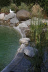 Un bassin baignade dans les Vosges - PAGE PHOTO 3  3 