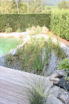 Un bassin baignade dans les Vosges - PAGE PHOTO 4  44 
