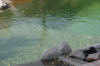 Un bassin baignade dans les Vosges - PAGE PHOTO 4  47 