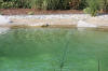 Un bassin baignade dans les Vosges - PAGE PHOTO 4  45 