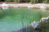 Un bassin baignade dans les Vosges - PAGE PHOTO 4  43 