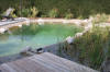 Un bassin baignade dans les Vosges - PAGE PHOTO 4  42 