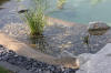Un bassin baignade dans les Vosges - PAGE PHOTO 4  41 