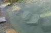 Un bassin baignade dans les Vosges - PAGE PHOTO 4  35 