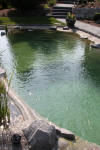 Un bassin baignade dans les Vosges - PAGE PHOTO 4  17 