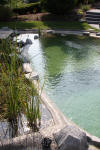 Un bassin baignade dans les Vosges - PAGE PHOTO 4  14 