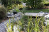 Un bassin baignade dans les Vosges - PAGE PHOTO 4  15 