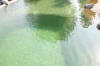 Un bassin baignade dans les Vosges - PAGE PHOTO 4  2 