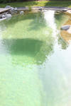 Un bassin baignade dans les Vosges - PAGE PHOTO 4  4 