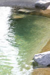 Un bassin baignade dans les Vosges - PAGE PHOTO et VIDEO  2 