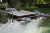 Un bassin baignade dans les Vosges - PAGE PHOTO et VIDEO  10 