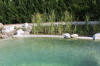 Un bassin baignade dans les Vosges - PAGE PHOTO et VIDEO  5 