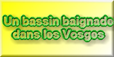 Un bassin baignade dans les Vosges - PAGE PHOTO 1  1 