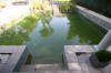Piscine transforme en piscine biologique en images  33 