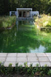 Piscine transforme en piscine biologique en images  8 