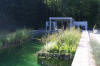 Piscine transforme en piscine biologique en images  6 