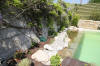 Mini piscine biologique et bassin de jardin - la piscine biologique  34 