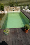 Mini piscine biologique et bassin de jardin - la piscine biologique  28 