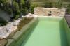 Mini piscine biologique et bassin de jardin - la piscine biologique  29 
