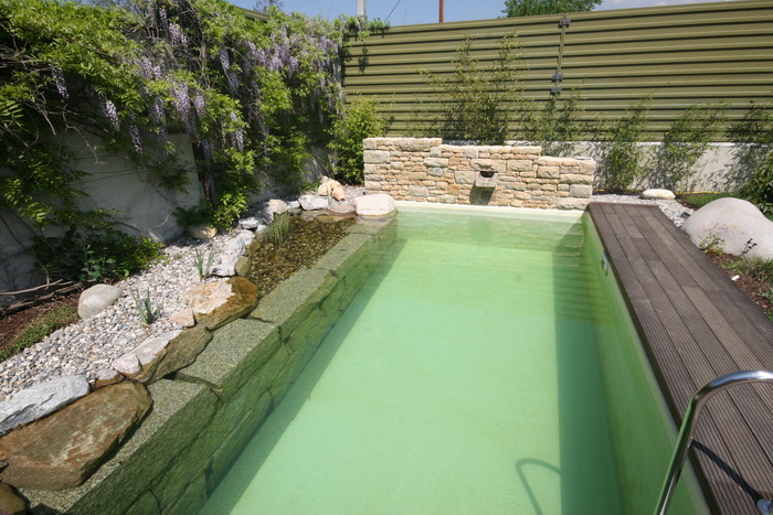 Mini piscine biologique et bassin de jardin - la piscine ...