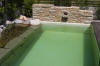 Mini piscine biologique et bassin de jardin - la piscine biologique  22 