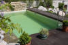 Mini piscine biologique et bassin de jardin - la piscine biologique  17 