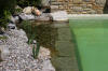 Mini piscine biologique et bassin de jardin - la piscine biologique  14 