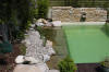 Mini piscine biologique et bassin de jardin - la piscine biologique  13 