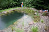 Un bassin baignade dans les Voges set de photos 1  39 