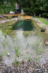 Un bassin baignade dans les Voges set de photos 1  19 