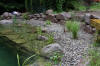 Un bassin baignade dans les Voges set de photos 1  13 