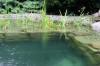 Un bassin baignade dans les Voges set de photos 1  11 