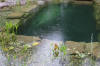 Un bassin baignade dans les Voges set de photos 2  23 