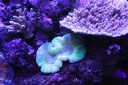 IMG 6989